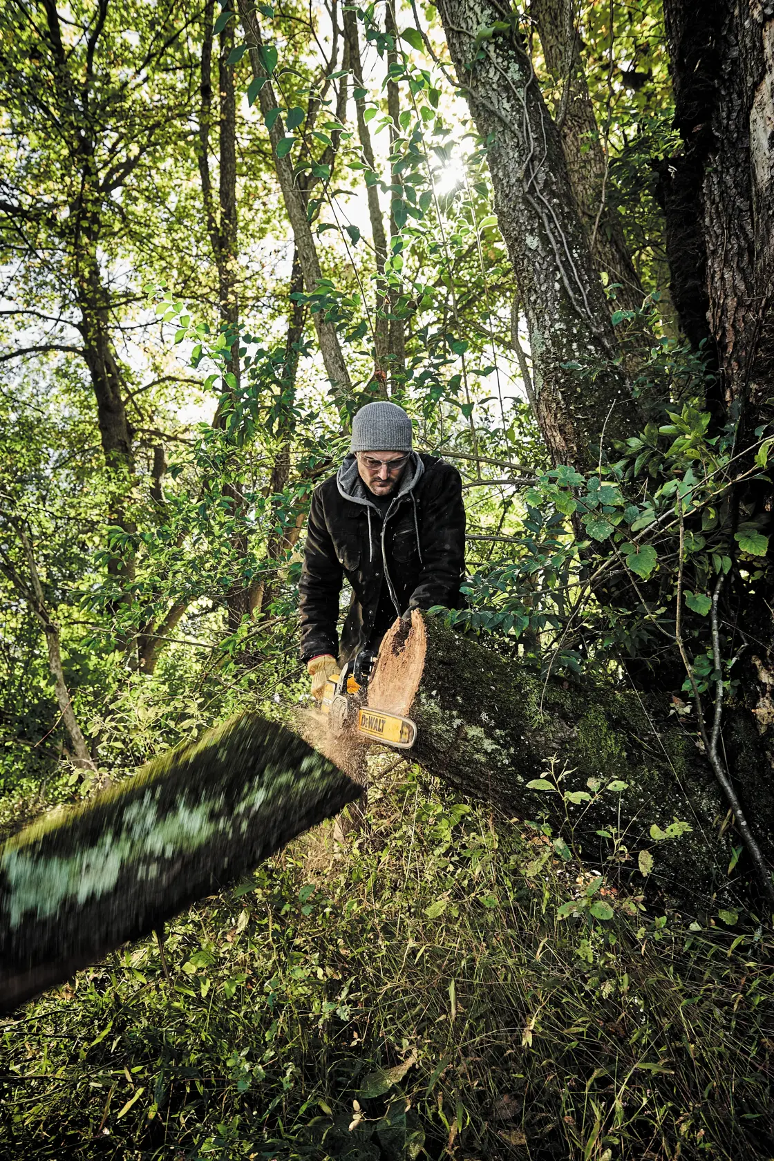 Persona corta tronco de árbol al aire libre usando motosierra amarilla DEWALT. Virutas volando.