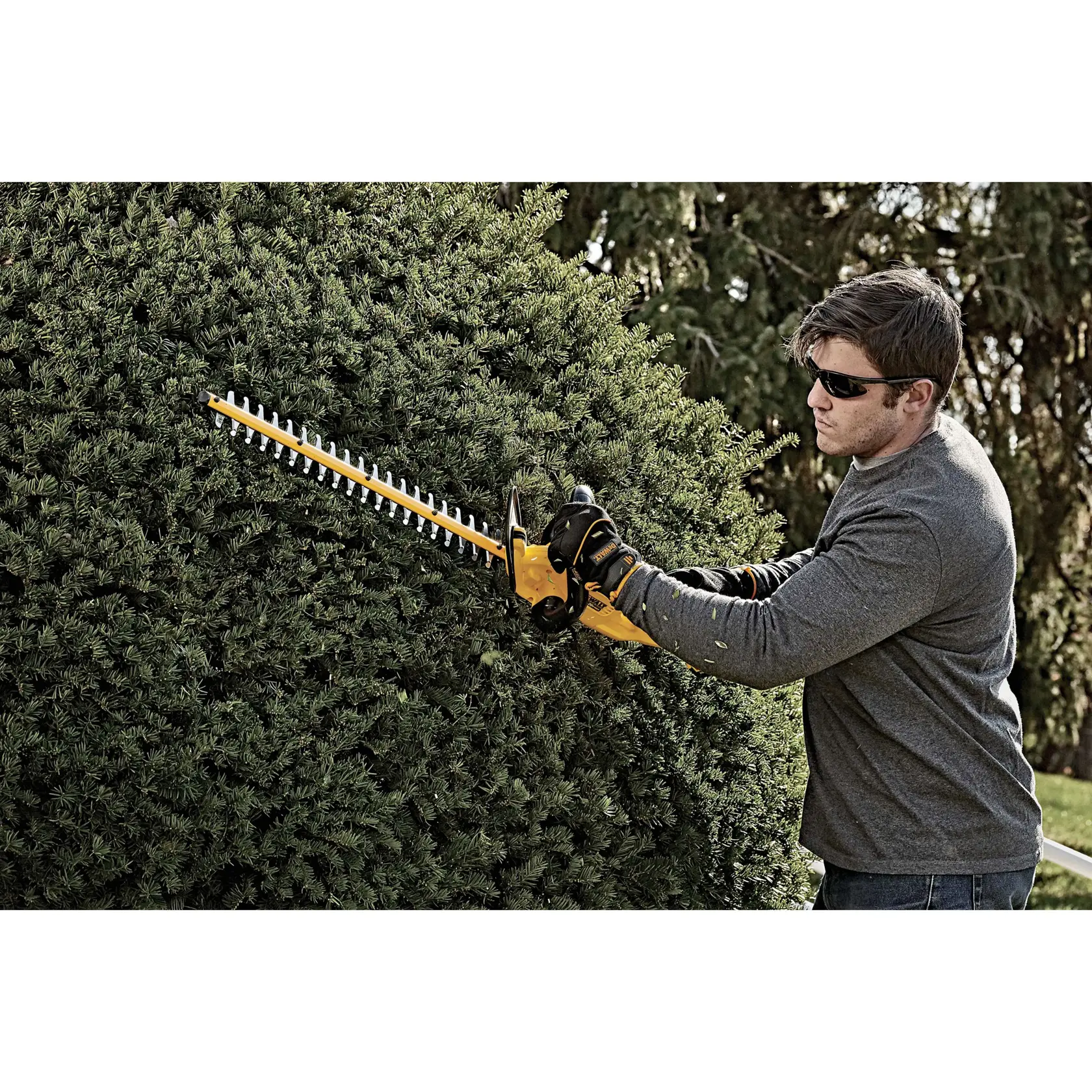 Una persona con guantes está usando una recortadora de setos amarilla DEWALT para recortar un gran arbusto en el exterior. El rostro de la persona está borroso para proteger la privacidad.