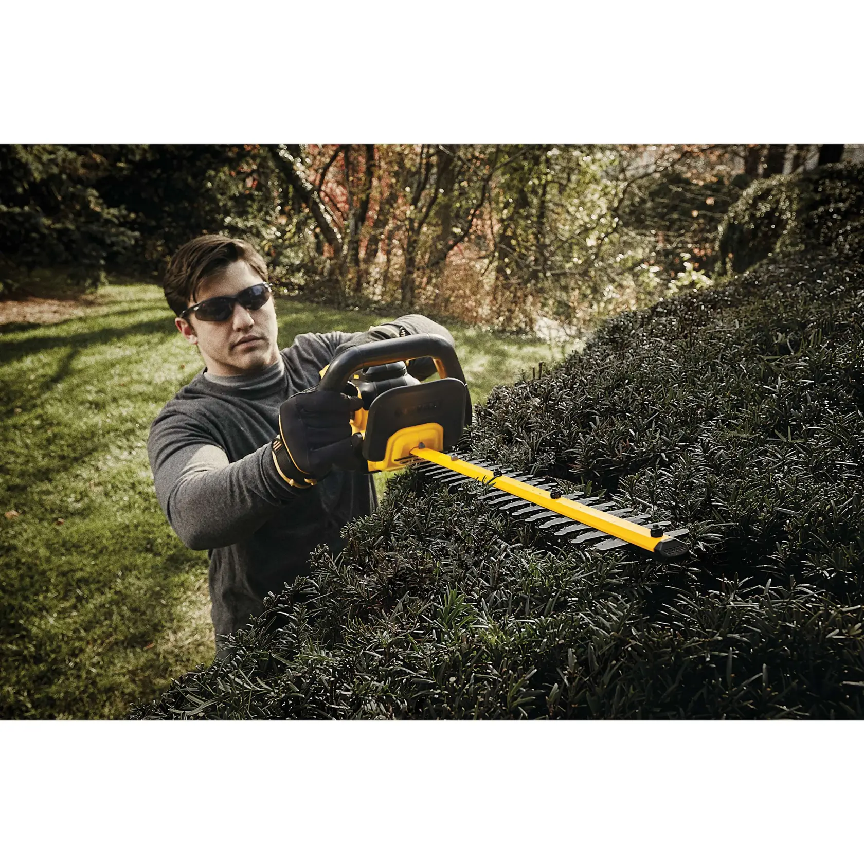 Una persona utiliza un cortasetos inalámbrico DEWALT para recortar arbustos en un jardín. La persona lleva guantes y su cara está difuminada para proteger la privacidad.